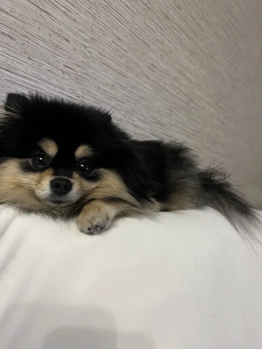 Alicia Pacific Veterinary Center 3