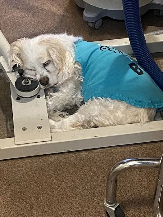 Alicia Pacific Veterinary Center 10