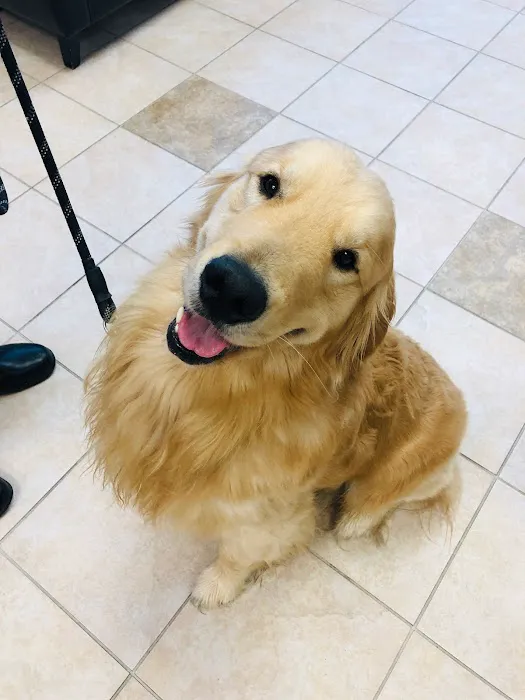 South Coast Veterinary Hospital 4