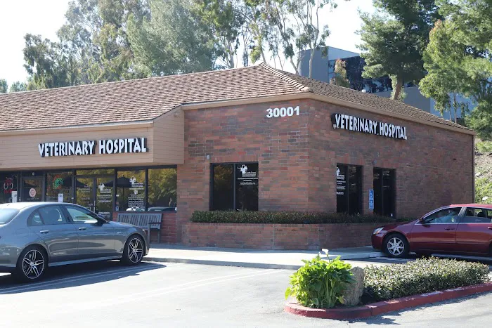 South Coast Veterinary Hospital 7