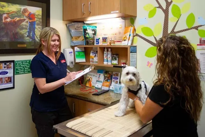 South Coast Veterinary Hospital 8