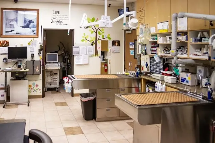 South Coast Veterinary Hospital 10