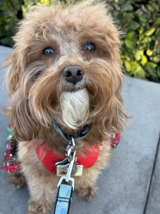 Lake Forest Animal Clinic 7
