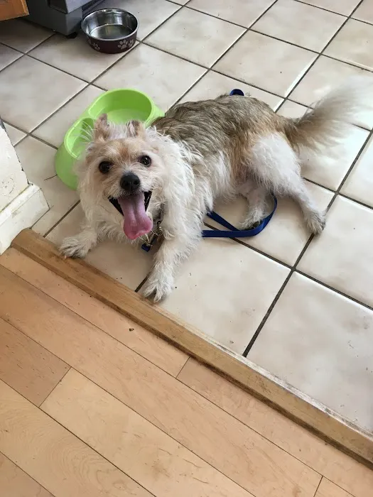 Lake Forest Animal Clinic 10