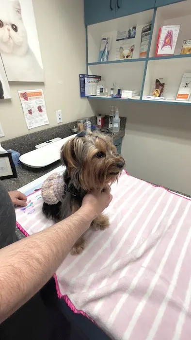 Lake Forest Animal Clinic 6