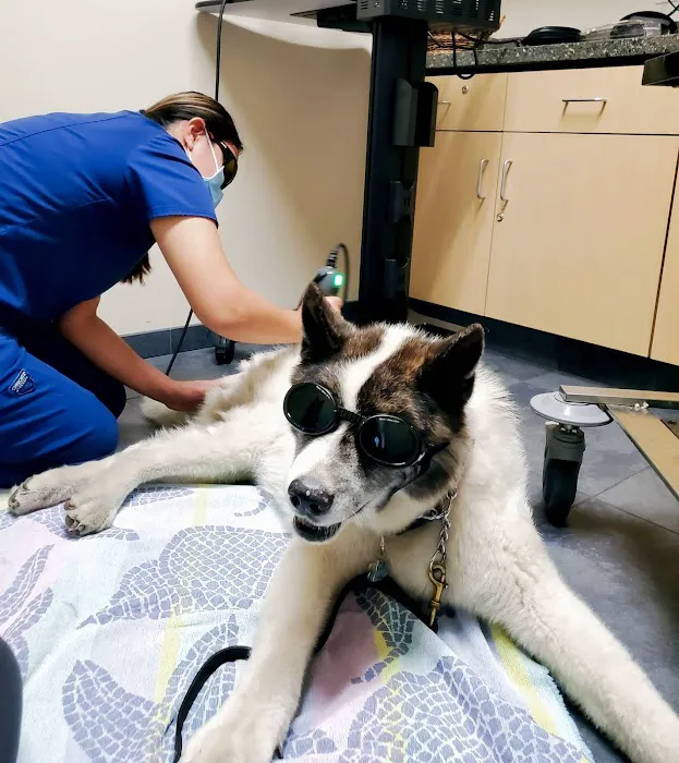 Lake Forest Animal Clinic 1