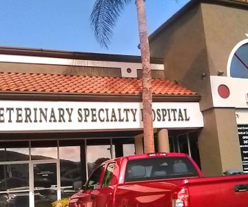 Mobile Animal CT | Southern California