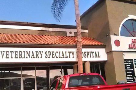 Mobile Animal CT | Southern California