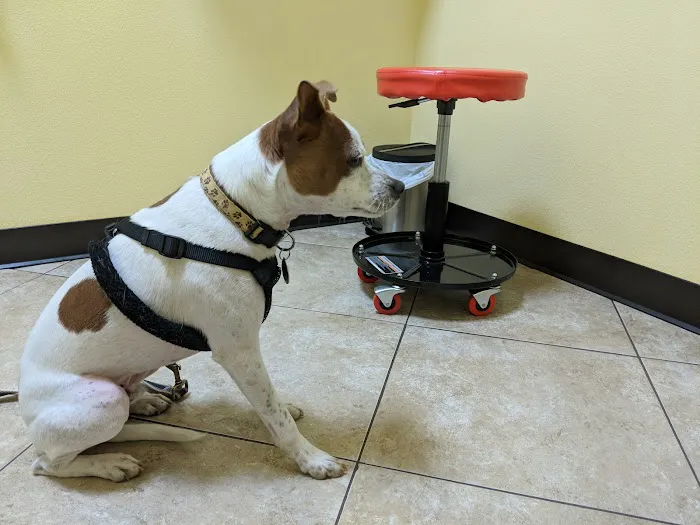 Harbor Pines Veterinary Center 12
