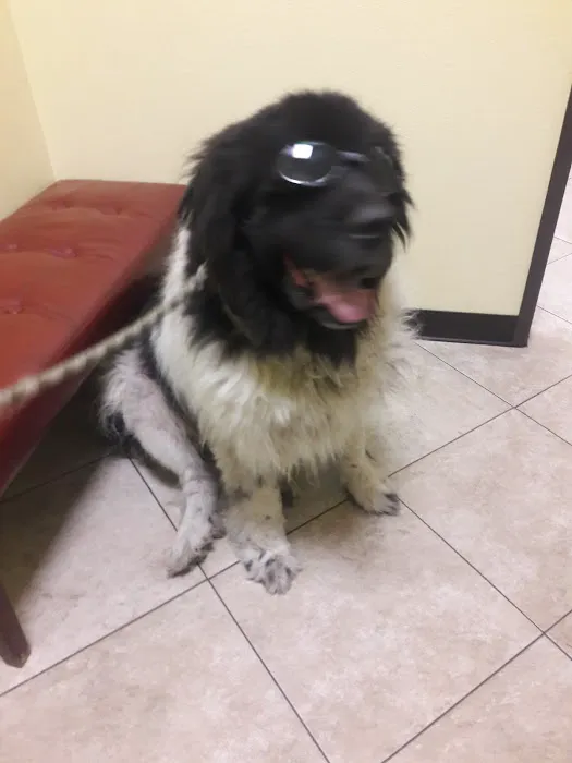 Harbor Pines Veterinary Center 12
