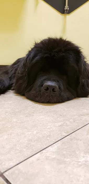 Harbor Pines Veterinary Center 12