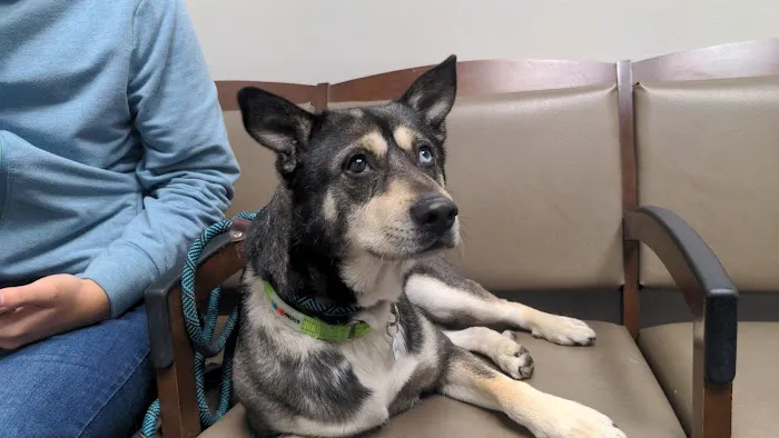 VCA Pacific Veterinary Center 3