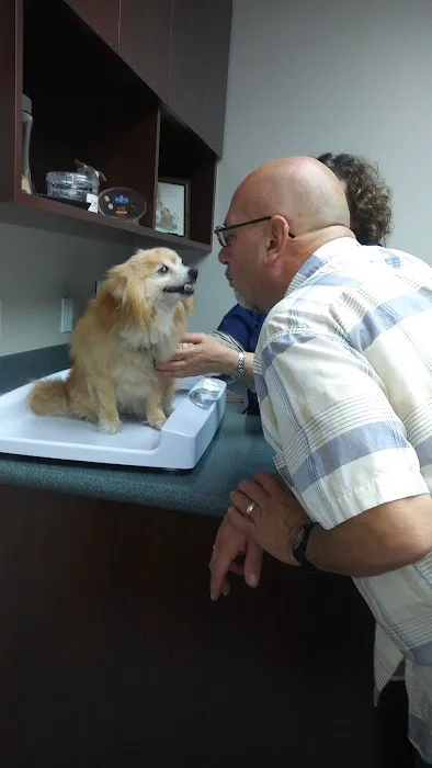 VCA Pacific Veterinary Center 9