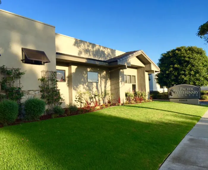 VCA Pacific Veterinary Center 10