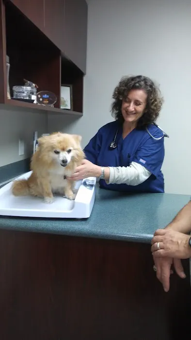 VCA Pacific Veterinary Center 7