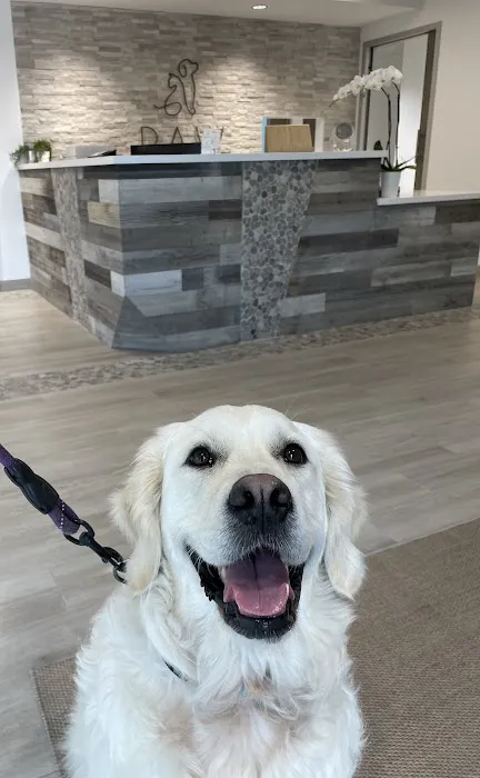 PAW Veterinary Center 12