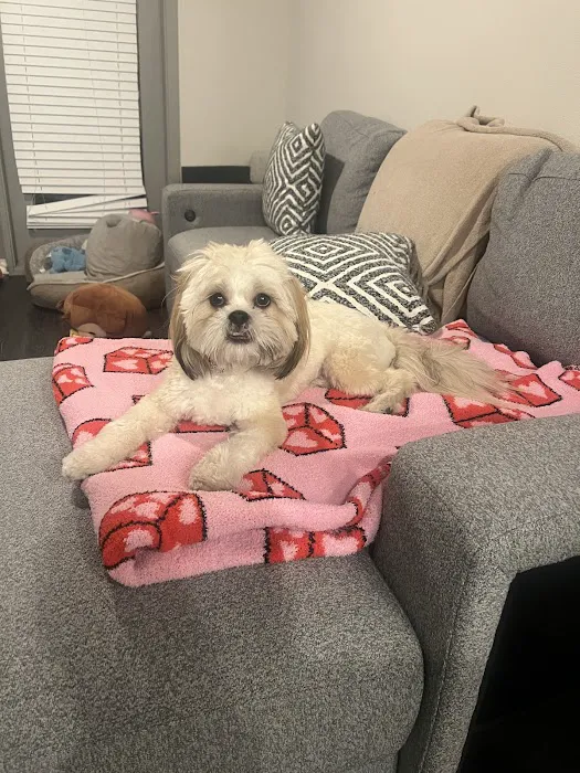 PAW Veterinary Center 12