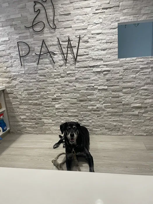 PAW Veterinary Center 12