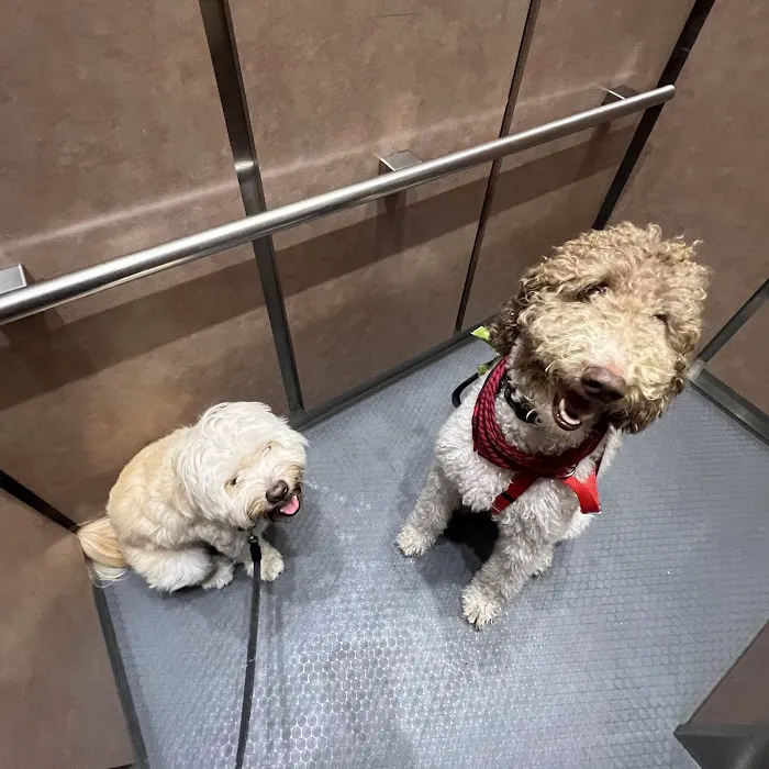 PAW Veterinary Center 12