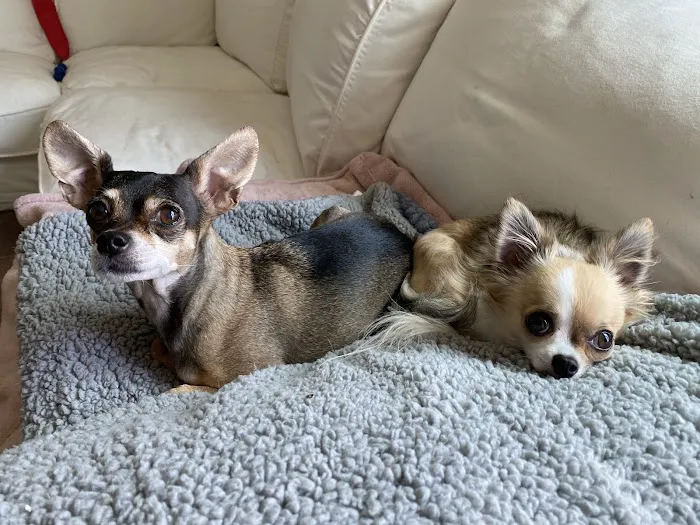 PAW Veterinary Center 12
