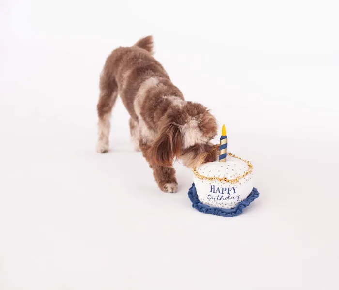 Animal Hospital of Redondo Beach 10
