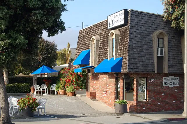 Animal Hospital of Redondo Beach 2