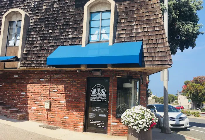 Animal Hospital of Redondo Beach 1