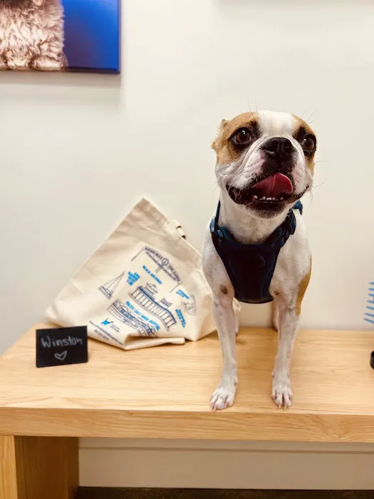 Pacific Coast Animal Hospital 5