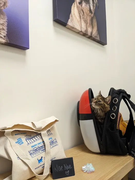 Pacific Coast Animal Hospital 3