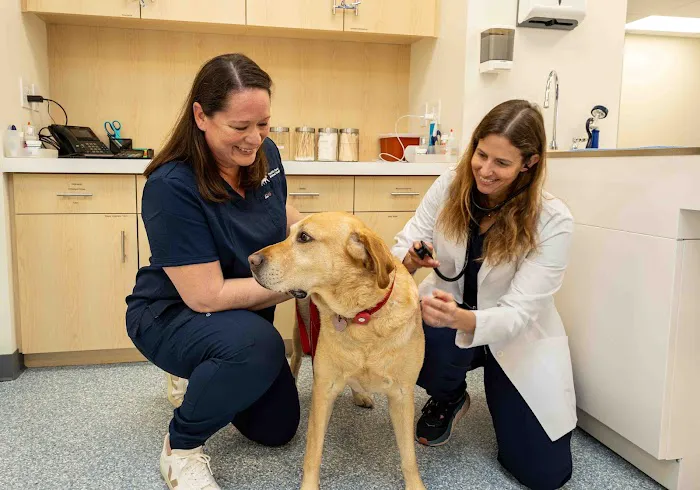 Pacific Coast Animal Hospital 4