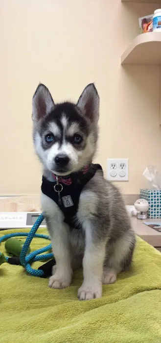 Redondo Shores Veterinary Center 3
