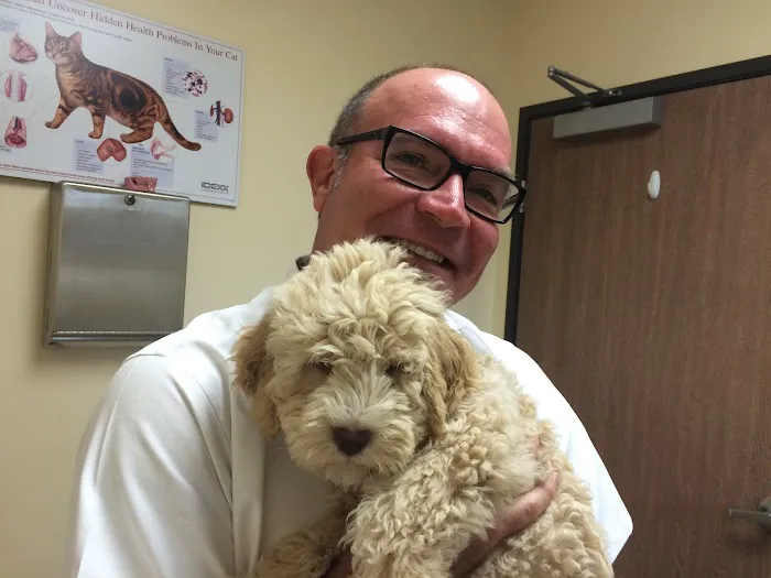 Redondo Shores Veterinary Center 8