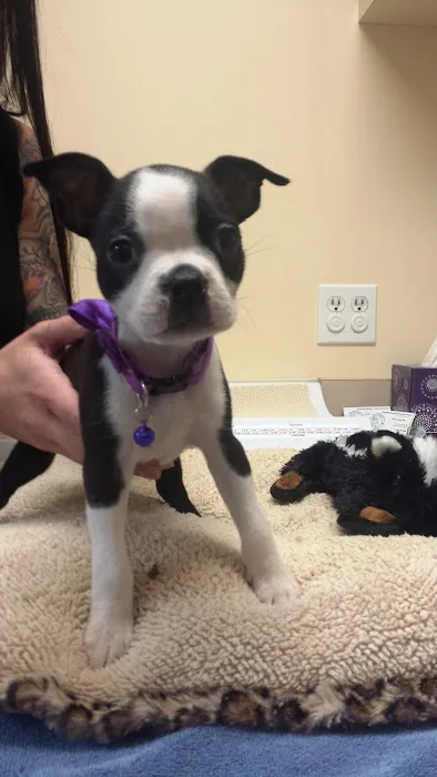 Redondo Shores Veterinary Center 1