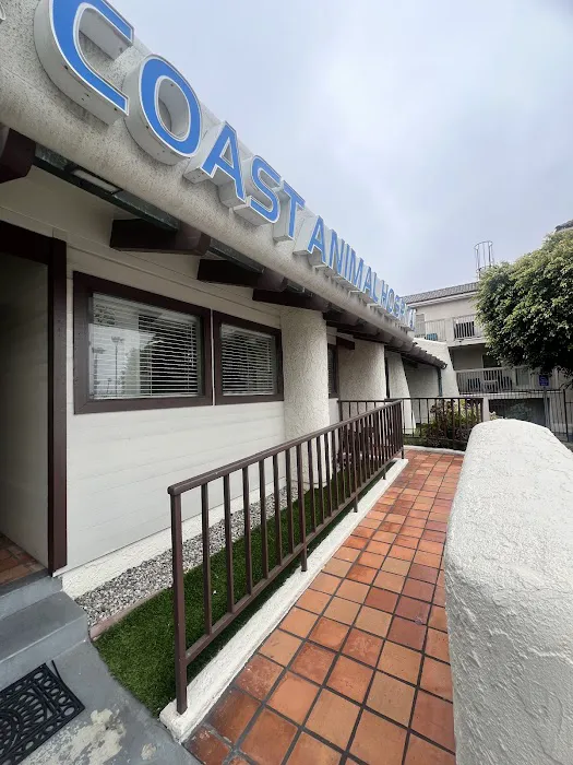 VCA Coast Animal Hospital 12