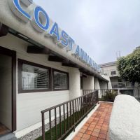 VCA Coast Animal Hospital ico