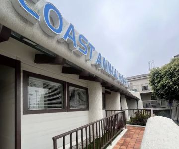 VCA Coast Animal Hospital