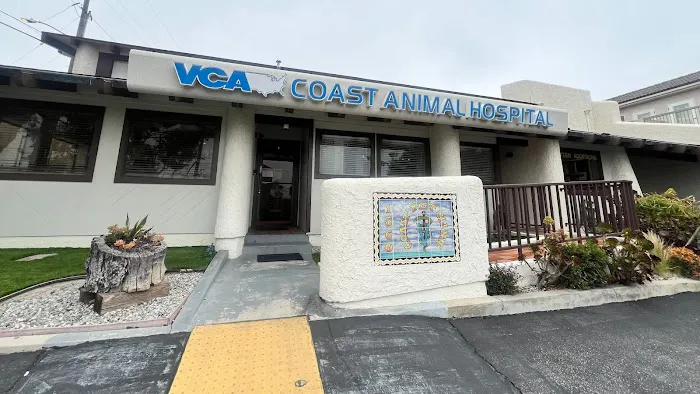 VCA Coast Animal Hospital 12
