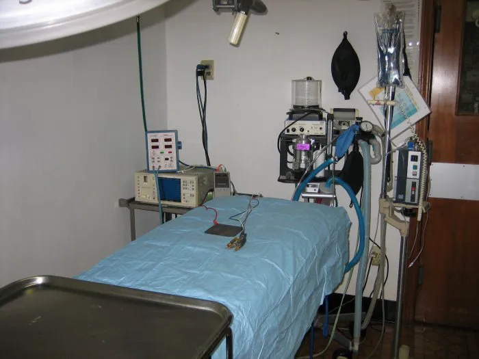 VCA Coast Animal Hospital 12