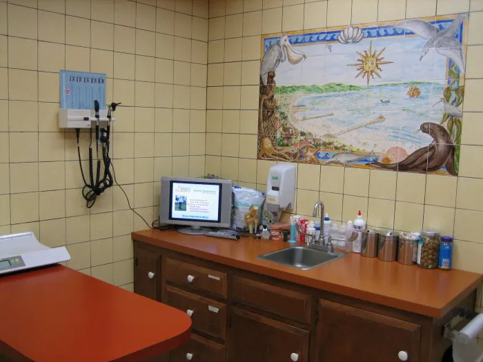 VCA Coast Animal Hospital 12