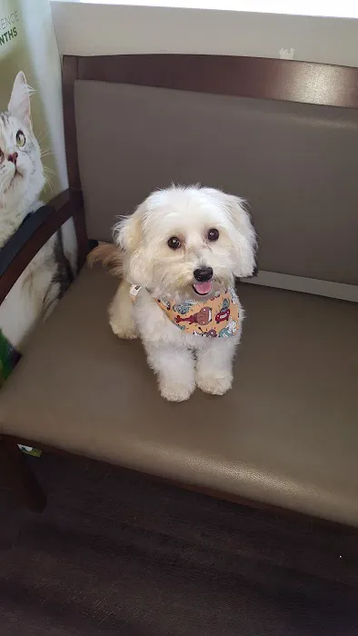 VCA Coast Animal Hospital 12