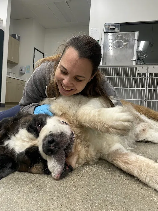 Thrive Pet Healthcare Urgent Care – Torrance 1