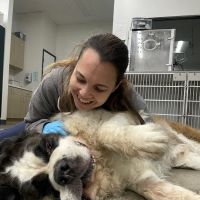Thrive Pet Healthcare Urgent Care – Torrance ico