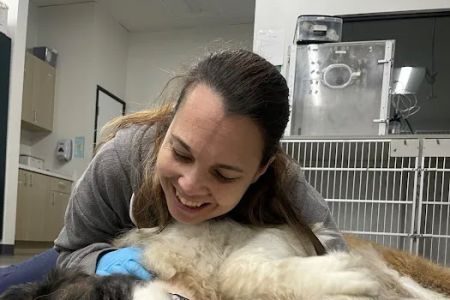 Thrive Pet Healthcare Urgent Care – Torrance