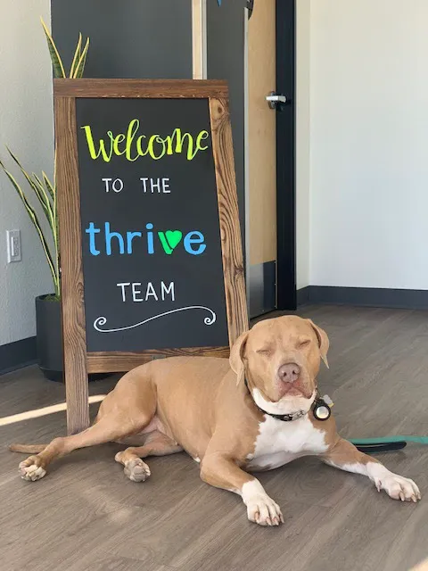 Thrive Pet Healthcare Urgent Care – Torrance 8