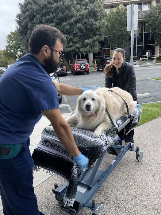 Thrive Pet Healthcare Urgent Care – Torrance 9