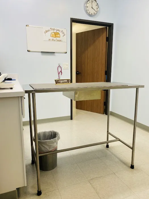 Galloway Cat Clinic 6