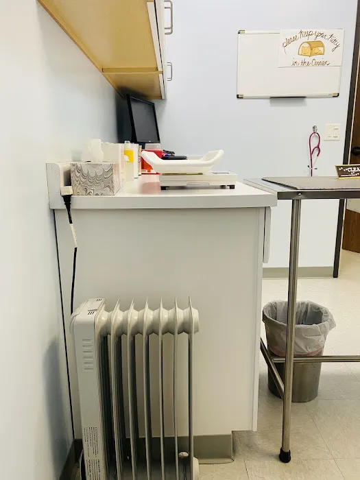 Galloway Cat Clinic 5