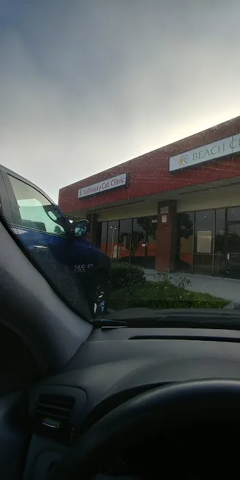 Galloway Cat Clinic 3