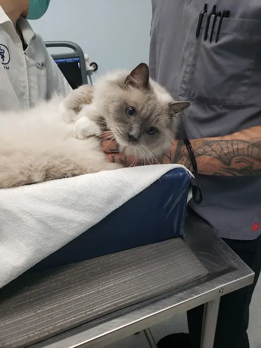 Galloway Cat Clinic 7