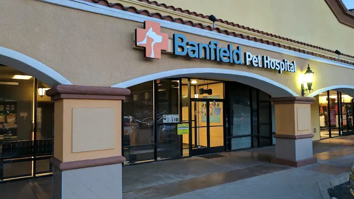 Banfield Pet Hospital 12